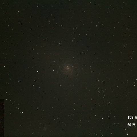 UMa NGC5457(M101) 回転花火銀河