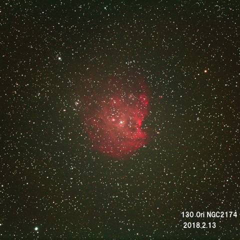 Ori NGC2174 モンキーフェイス星雲