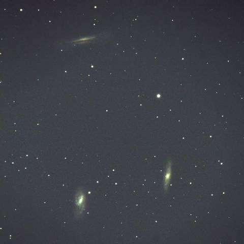 Leo M65 M66 NGC3628