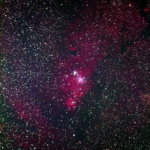 Mon NGC2264（コーン星雲）