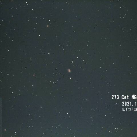 Cet NGC157