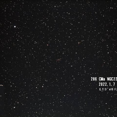CMa NGC2207