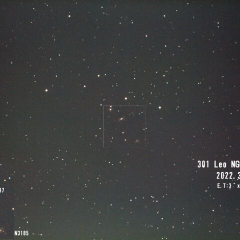 Leo NGC3190
