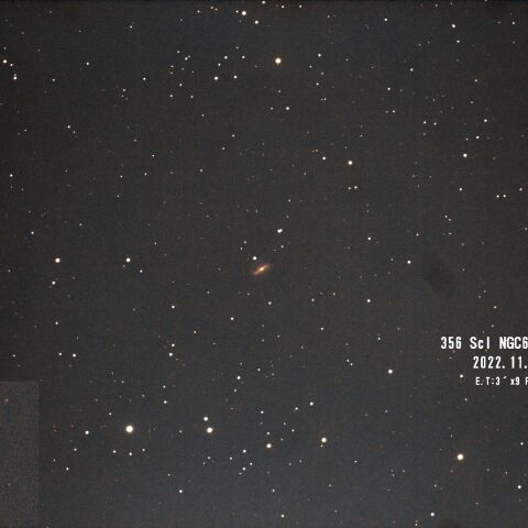 Scl NGC613