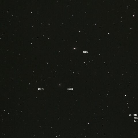 UMa NGC3613 NGC3619