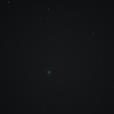 千葉県のラブジョイ彗星