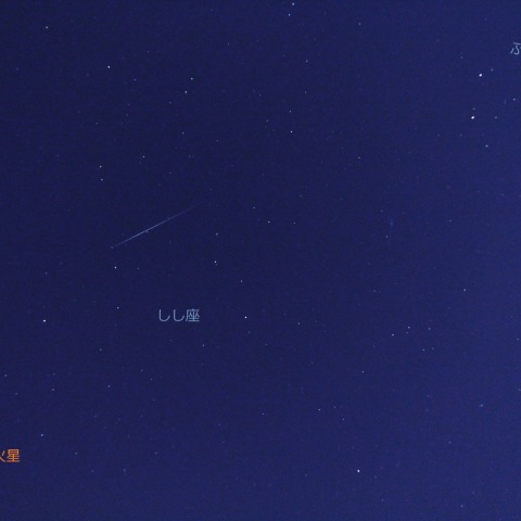 獅子の背をかすめるふたご座流星群