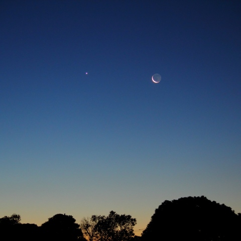 月と金星のランデブー