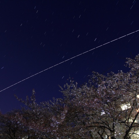 団地の桜とISS