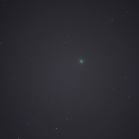 1月9日のラヴジョイ彗星(C/2014 Q2)