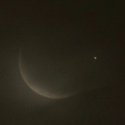 金星食（出現）