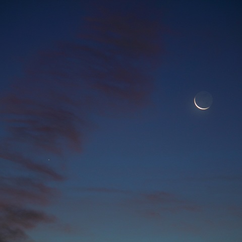 西方最大離角の水星と細い月