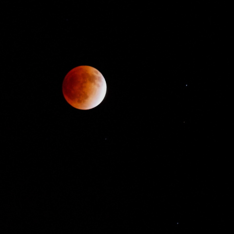 RedMoon