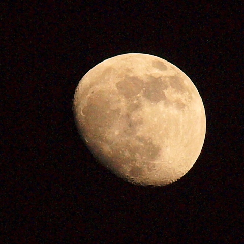 皐月晴れの夜の月