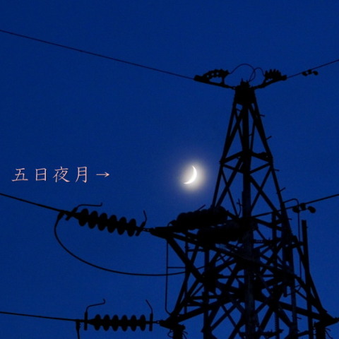 五日夜月