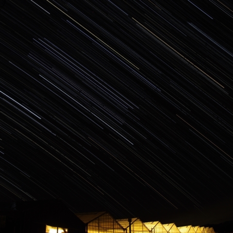 十二月のイチゴハウス