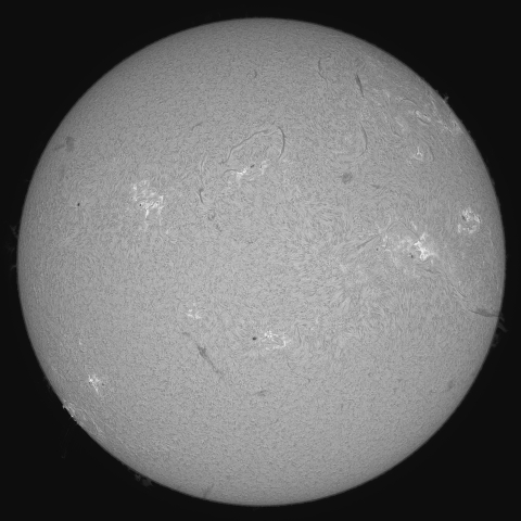 5月14日の太陽 ( シングル) 