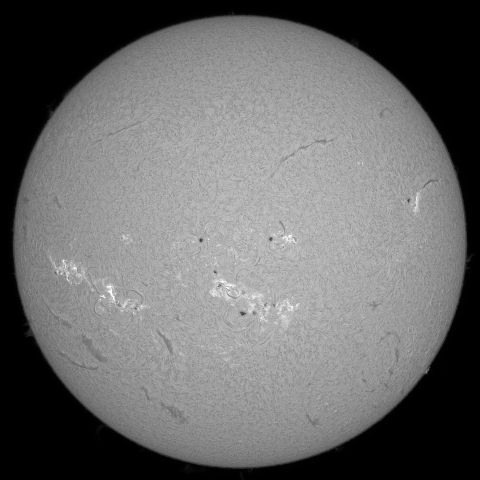 7月29日の太陽 (シングル) 