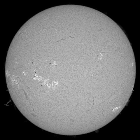 7月31日の太陽 (シングル) 