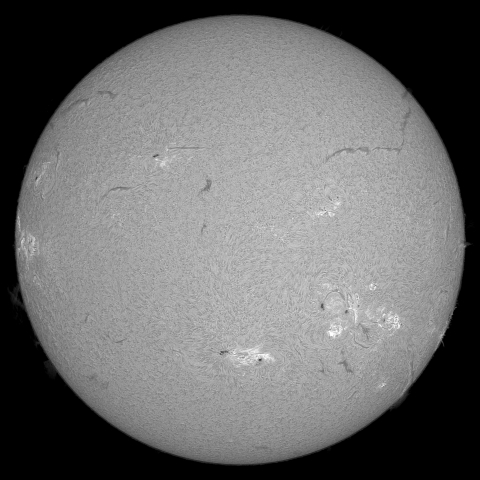 8月4日の太陽  (シングル)