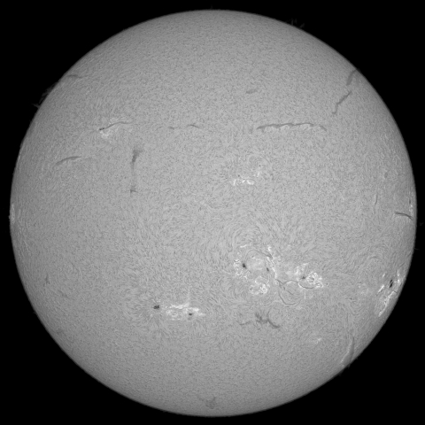 8月5日の太陽  (シングル)