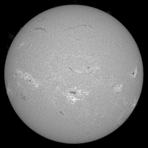 8月10日の太陽  (シングル)