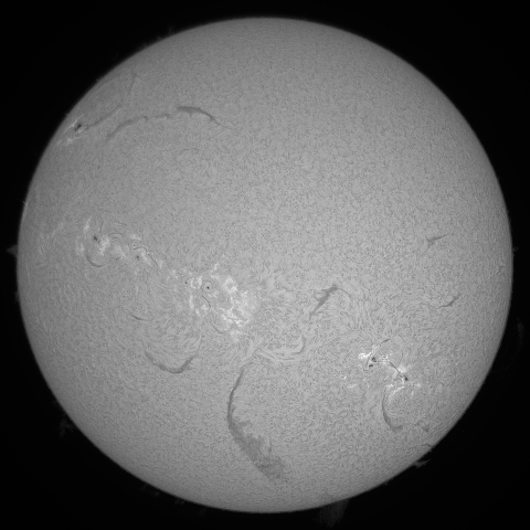 11月10日の太陽  (シングル)