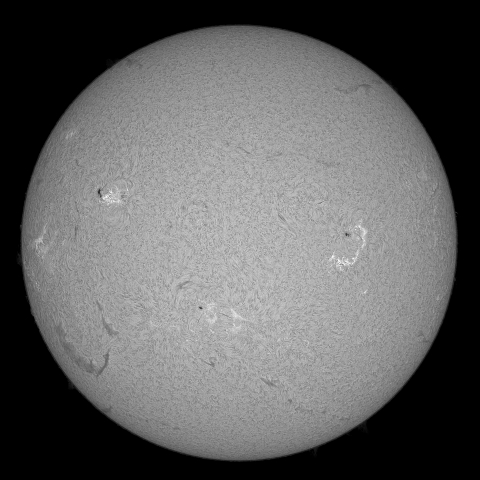 8月3日の太陽 (シングル)