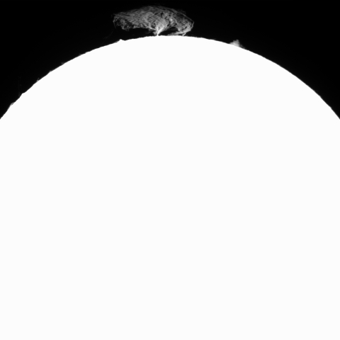 8月20日の太陽 (プロミネンス)