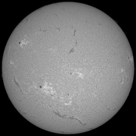 8月31日の太陽 (シングル)  
