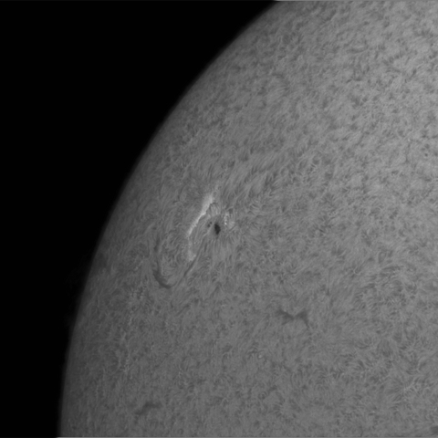 2016.11.25の太陽(彩層面)