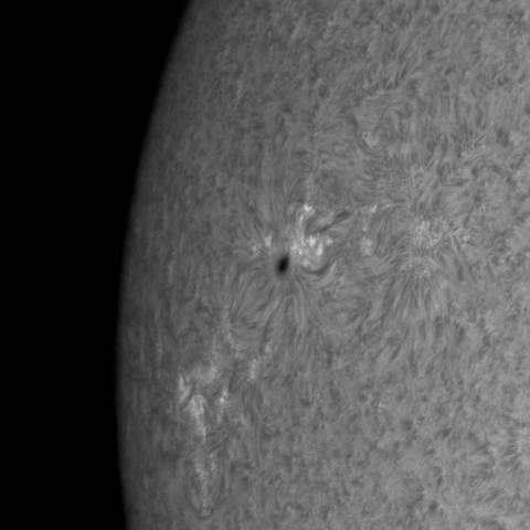 1月28日の太陽(部分)