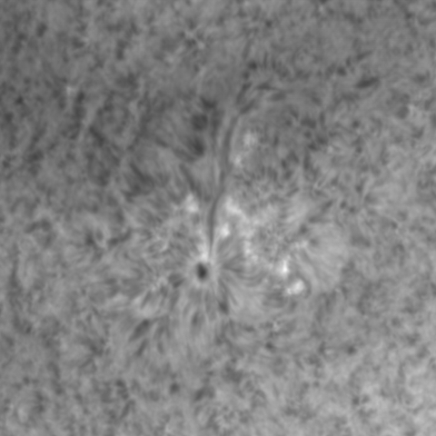 1月31日の太陽　その1