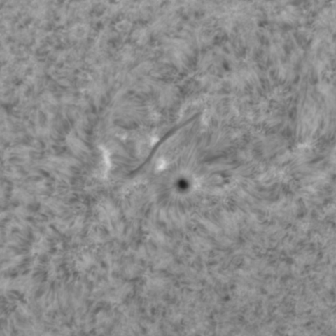 2月27日の太陽(拡大撮影)