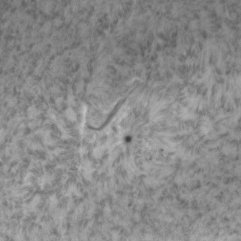 2月28日の太陽(拡大撮影 その1)