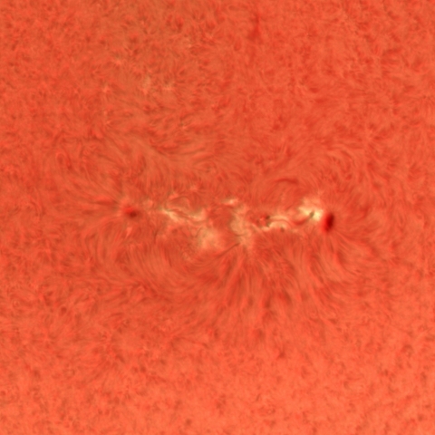 8月19日の太陽(部分合成)