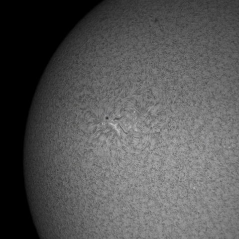 8月29日の太陽(部分)
