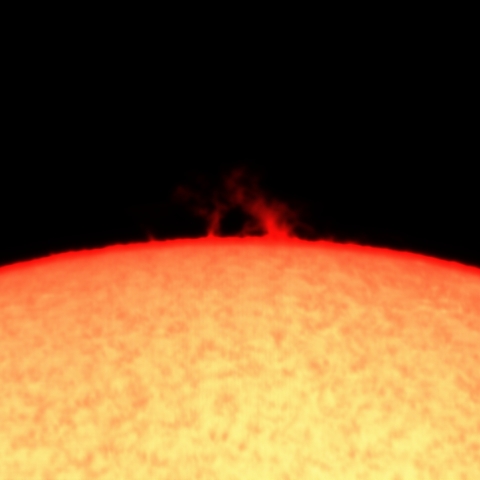 11月03日のプロミネンス