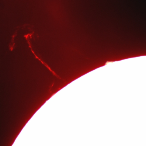 1月21日のプロミネンス