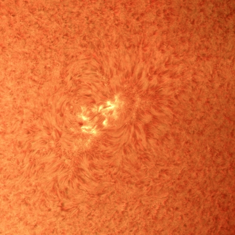 6月1日の太陽(部分)