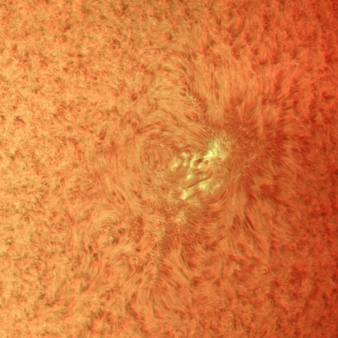 6月2日の太陽(カラー・部分)