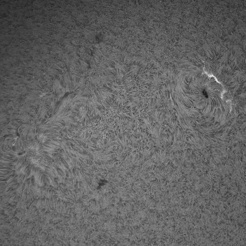 5月11日の太陽(部分)