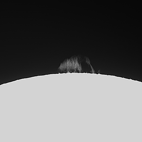 10月16日のプロミネンス