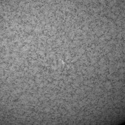 11月17日の太陽(ダブルスタック)