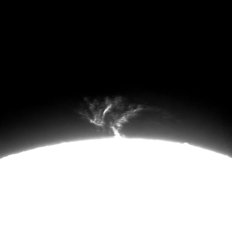 11月17日のプロミネンス2