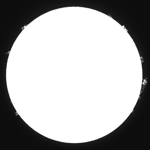 1月10日の太陽 (ダブルスタック) プロミネンス