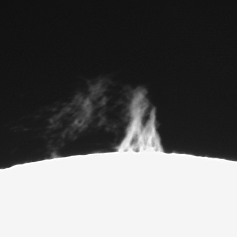 2月6日のプロミネンス