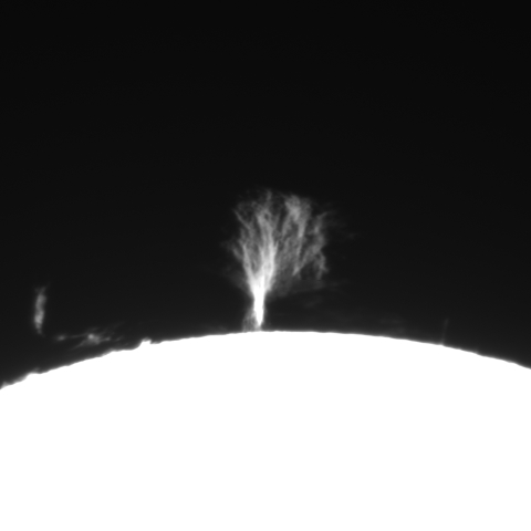 8月26日の太陽 (プロミネンス)