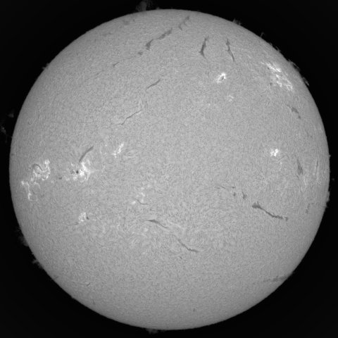 5月11日の太陽 (ダブル) 
