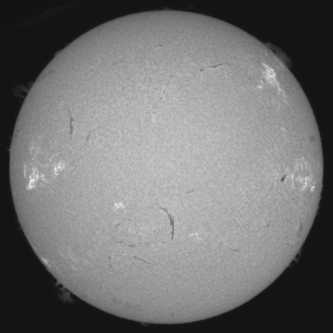 5月20日の太陽 (183MM ダブルスタック) 